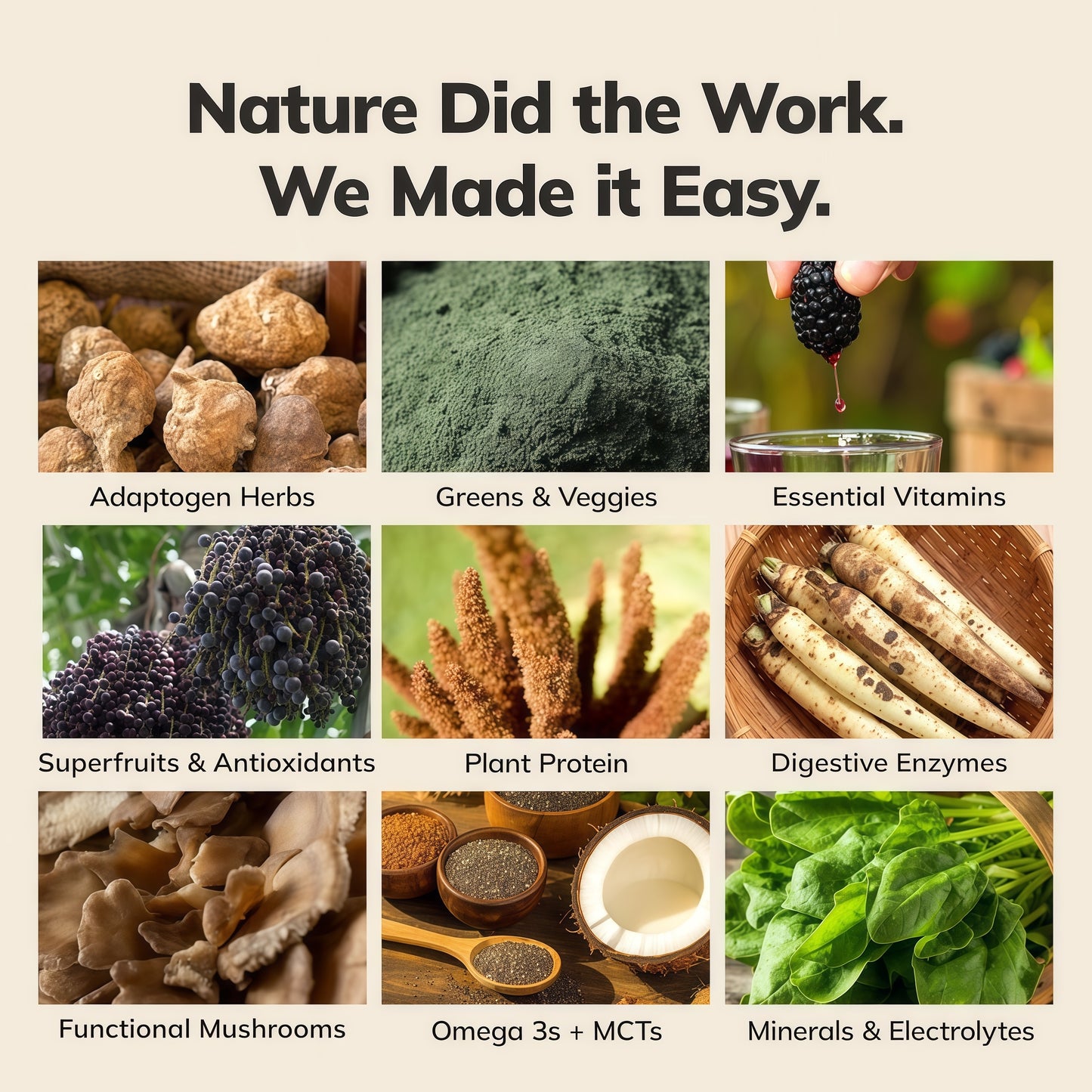 Ka’Chava Digestive Enzymes  Probiotics All-In-One Nutrition  Blend